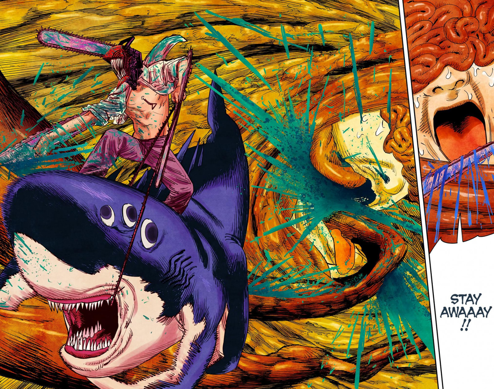 Reader · CSM Manga